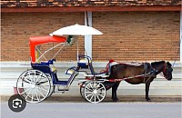 นั่งรถม้านครลำปาง