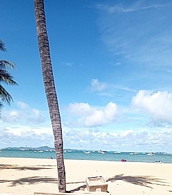 รับ-ส่ง พัทยา-สนามบินสุวรรณภูมิ/ดอนเมือง 24 ชม. จองล่วงหน้าอุ่นใจ รถใหม่สะอาด ปลอดภัย 100% บริการระดับพรีเมียมในราคาที่เป็นกันเอง ใส่ใจทุกการเดินทางครับ